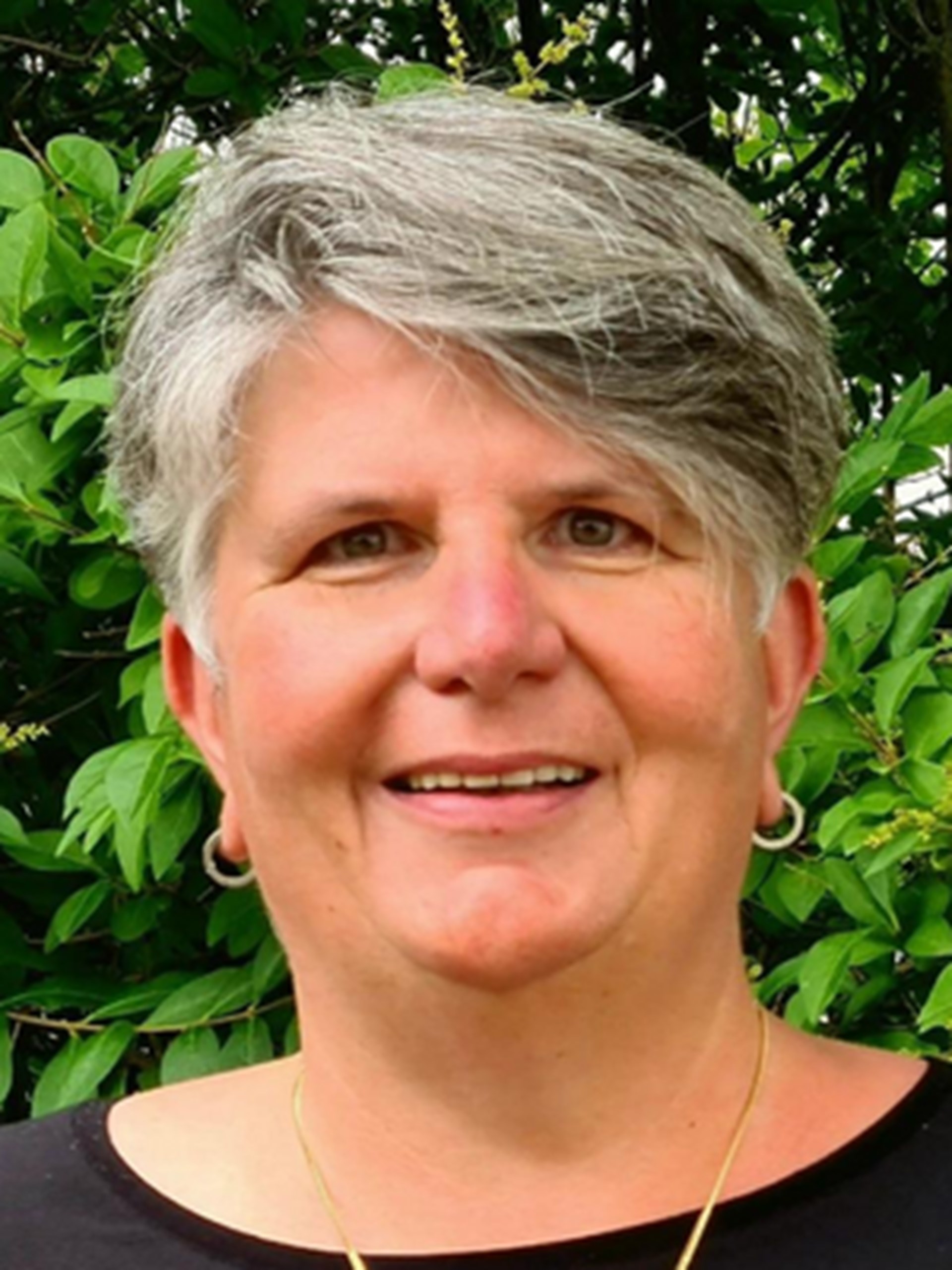 Selinger-Hugen